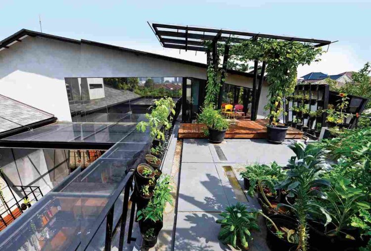 Mengenal Urban Farming Arsitektur